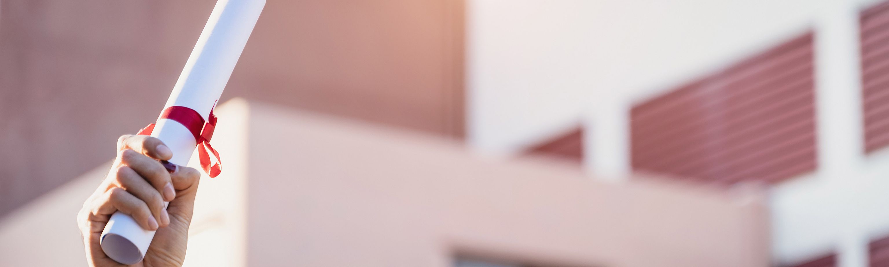 Ausbildungen und Lehrgänge