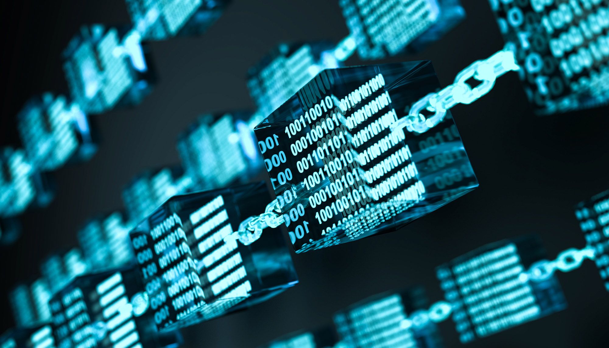 eLearning: Nachhaltiges Business & Green Branding